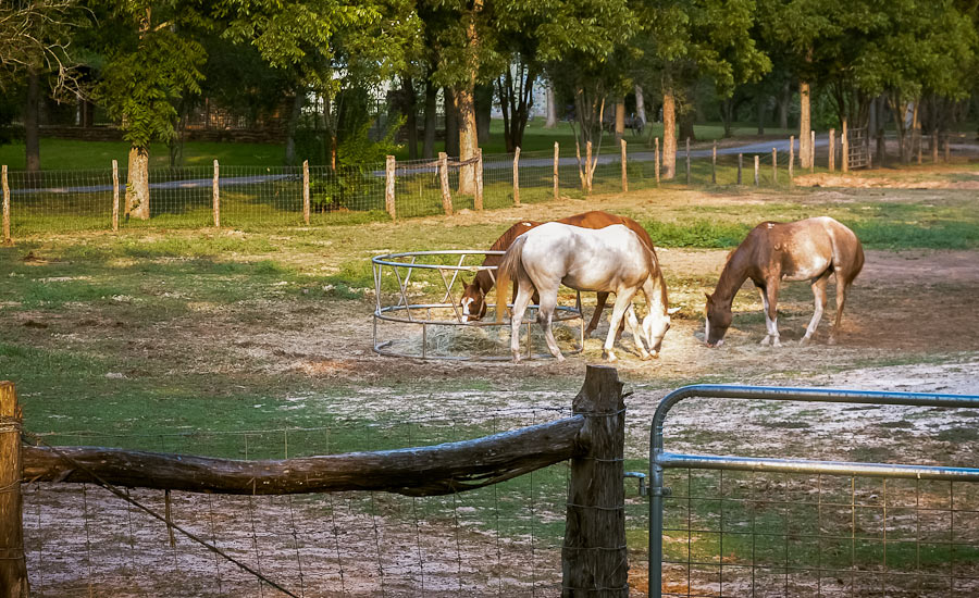 photo20.jpg